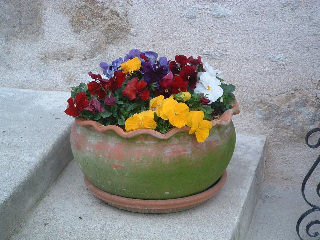 לינה וארוחת בוקר Nantiat Paul'S Barn In France חדר תמונה